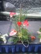 2008021014.jpg