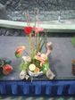 2008021015.jpg