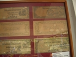 IMGP5046.JPG