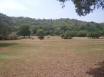 IMGP5094.JPG