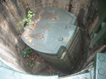IMGP5142.JPG