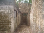 IMGP5148.JPG