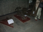 IMGP5162.JPG
