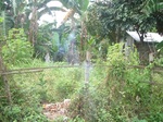 IMGP5193.JPG