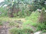 IMGP5194.JPG